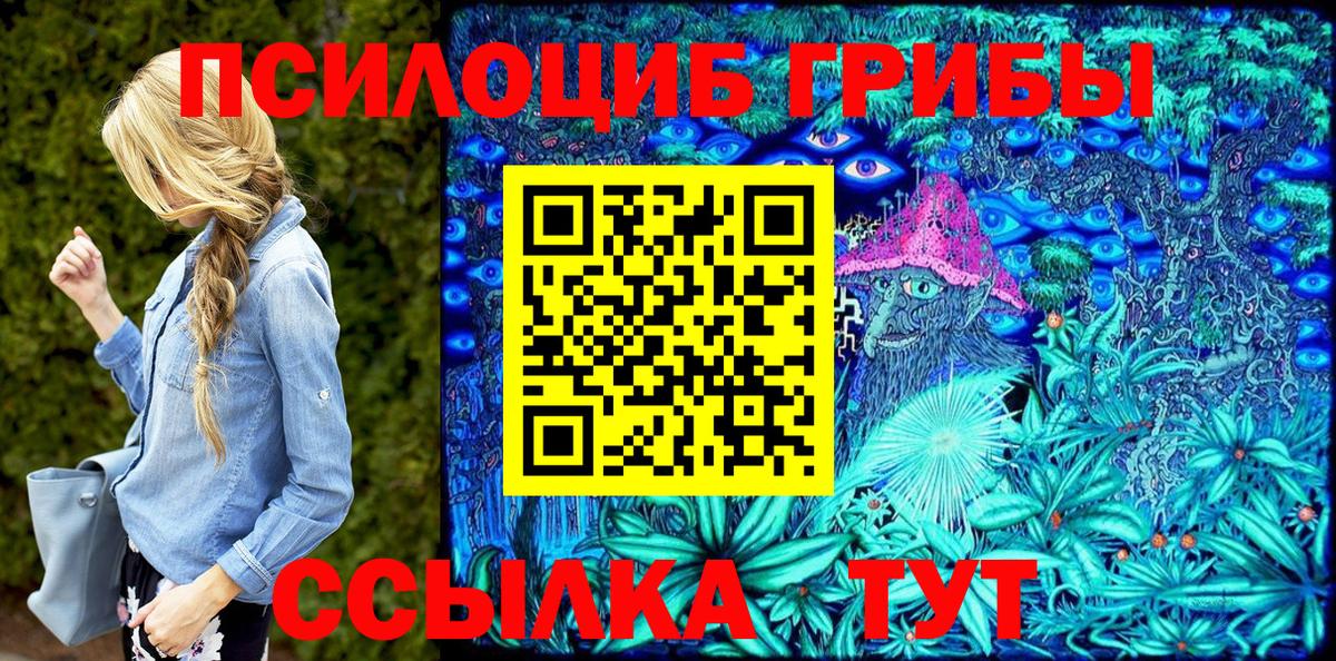 где купить   Вход с VPN  Заринск  Псилоцибиновые грибы мухоморы 