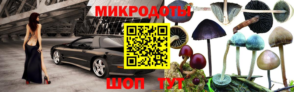 Галлюциногенные грибы Psilocybine cubensis Заринск